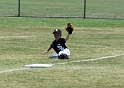 Alex_Sox-Game_6-CDPics (25)